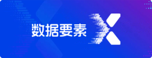 数据要素×